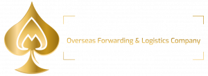 mn-international-white